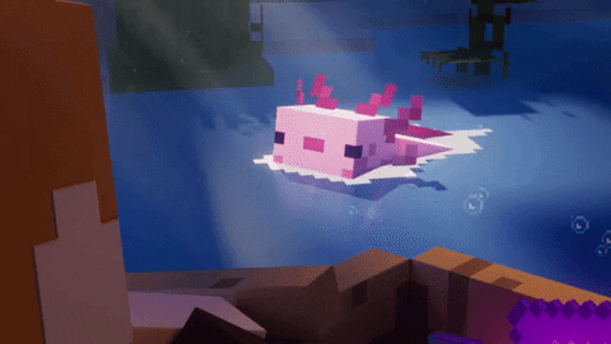 Minecraft Axolotl GIFs
