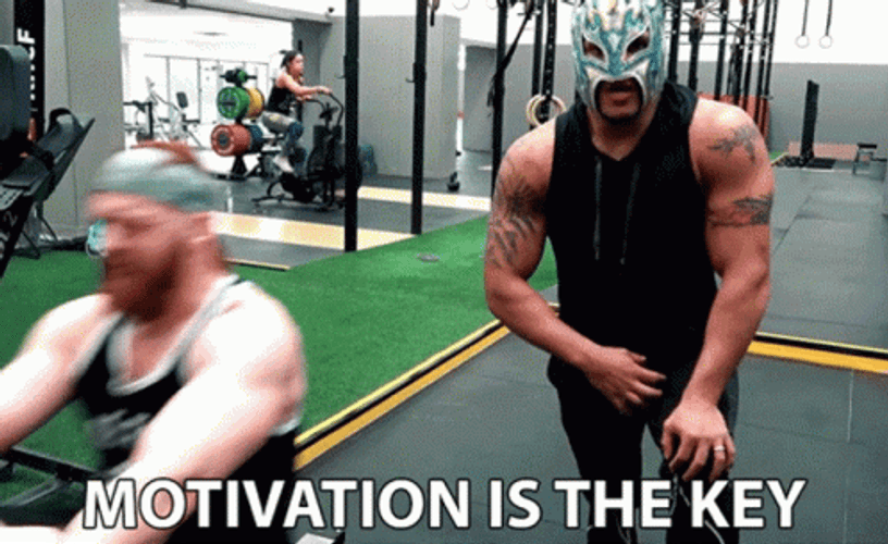 Motivation GIFs