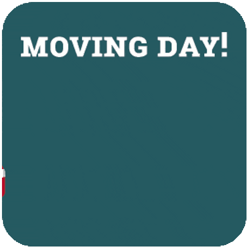 Moving Day GIFs