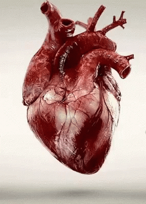 Moving Heart GIFs