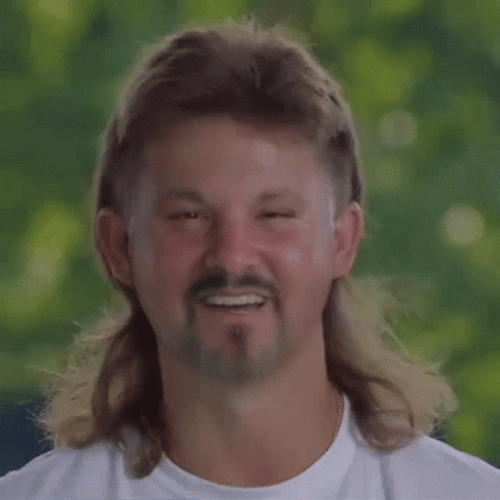 Mullet GIFs