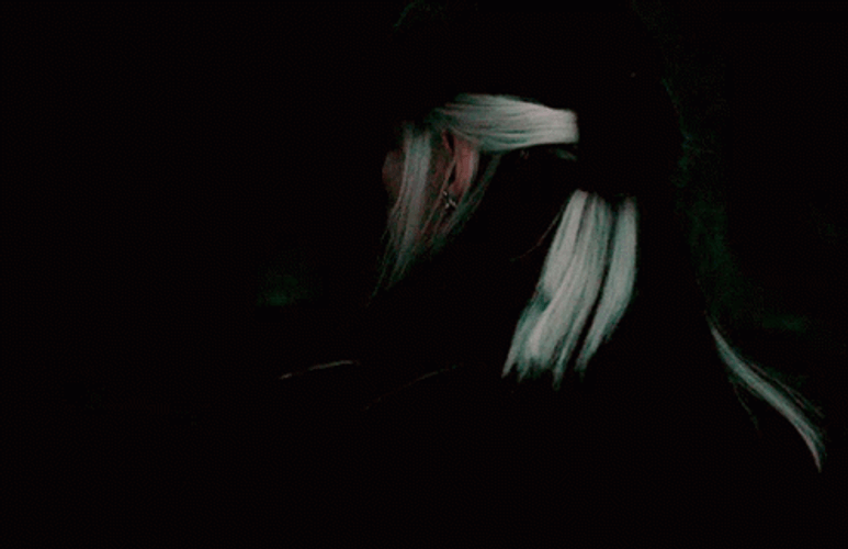 Narcissa Malfoy GIFs