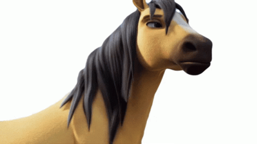 Neigh GIFs