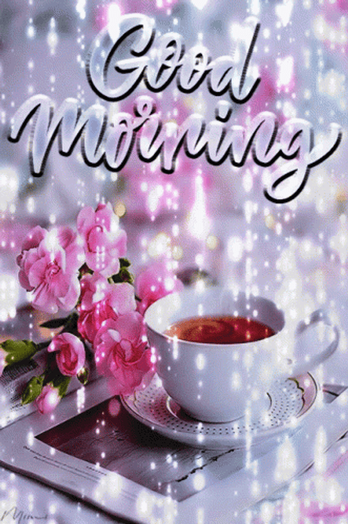 New Good Morning GIFs