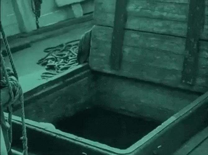 Nosferatu GIFs