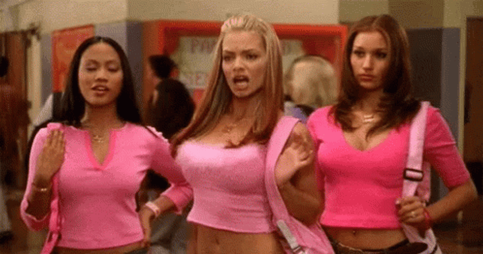 Not Another Teen Movie GIFs