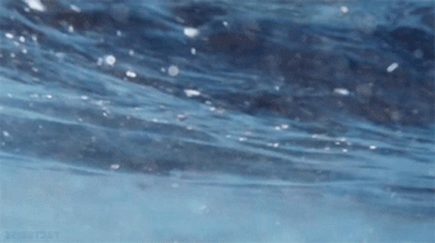 Ocean Waves GIFs