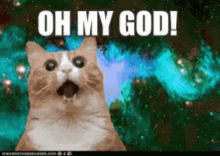 Oh My God Meme GIFs