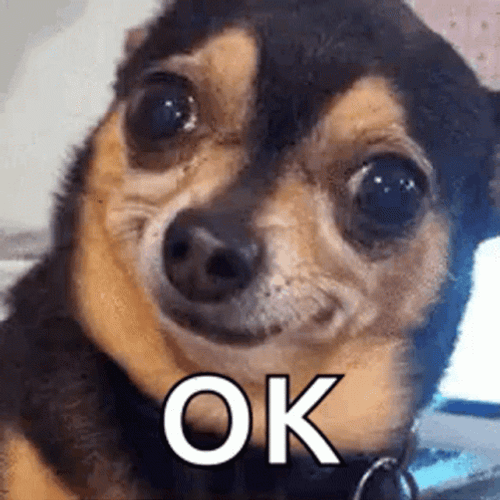 Ok GIFs