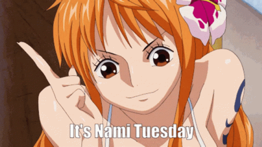 One Piece Nami GIFs