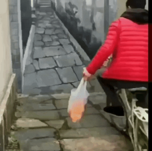 Optical Illusion GIFs