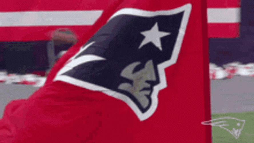 Patriots GIFs