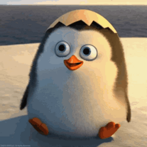 Penguin GIFs