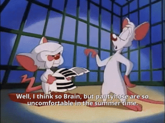 Pinky And The Brain GIFs