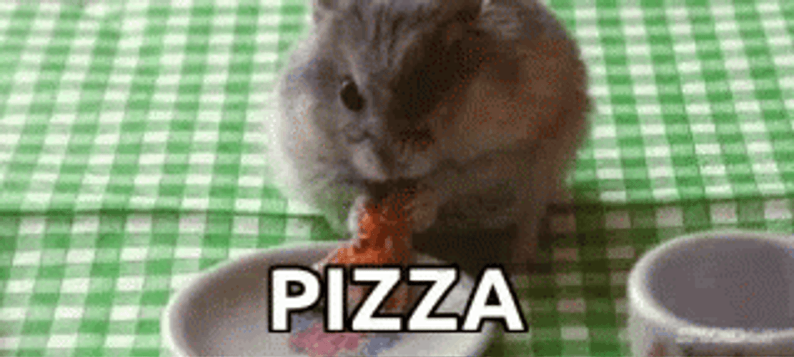 Pizza Rat GIFs