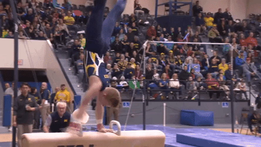 Pommel Horse GIFs