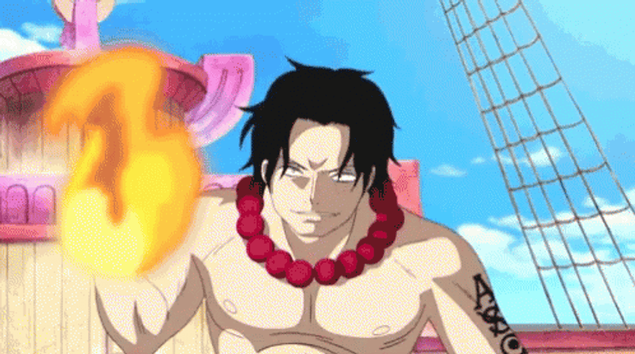 Portgas D Ace GIFs