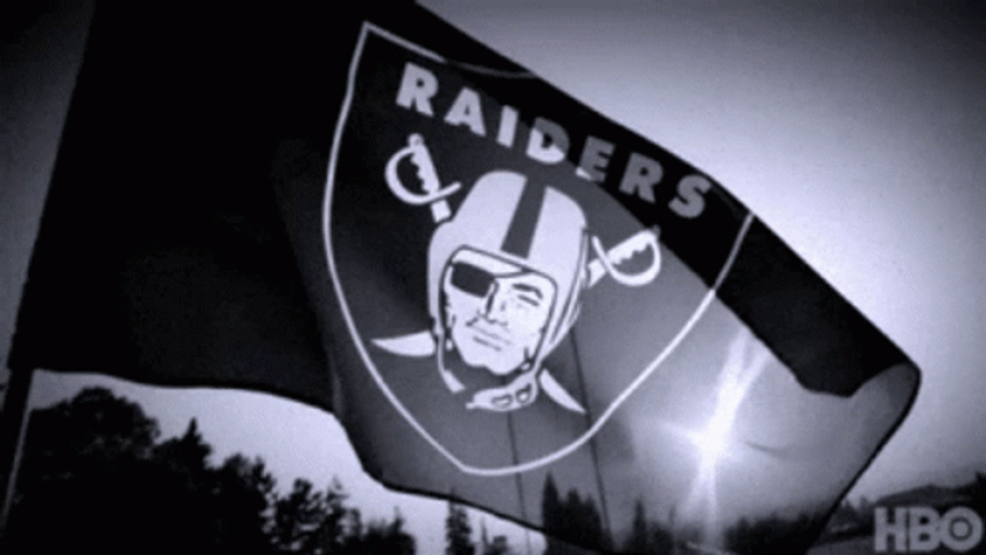 Raiders GIFs