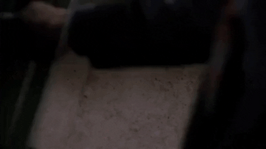 Reflection GIFs