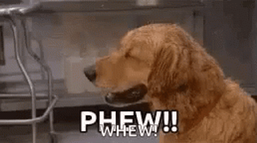Relieved GIFs