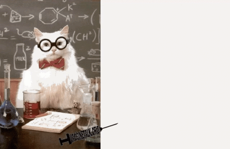 Research GIFs