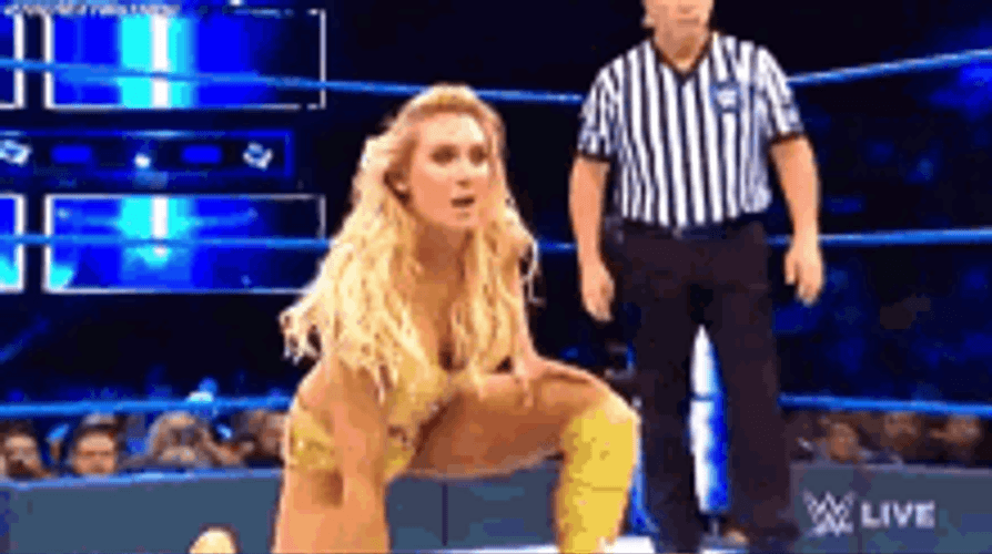 Ric Flair Woo GIFs