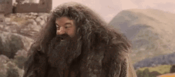 Rubeus Hagrid GIFs