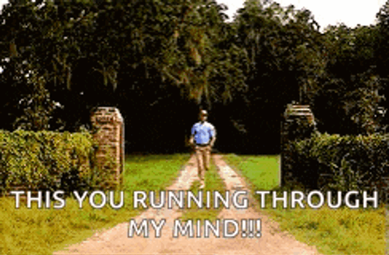 Run Forrest Run GIFs