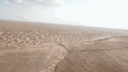 Sahara GIFs
