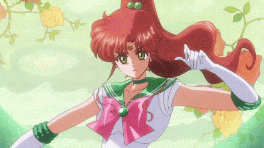 Sailor Jupiter GIFs
