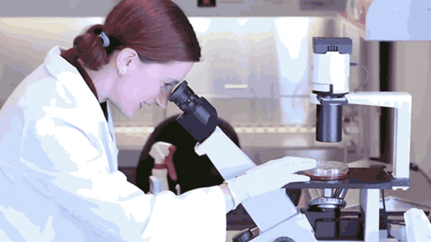 Scientist GIFs