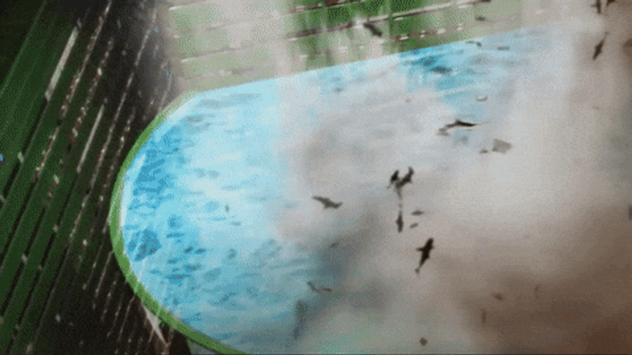 Sharknado GIFs