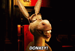 Shrek Donkey GIFs