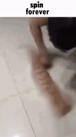 Spinning Cat GIFs