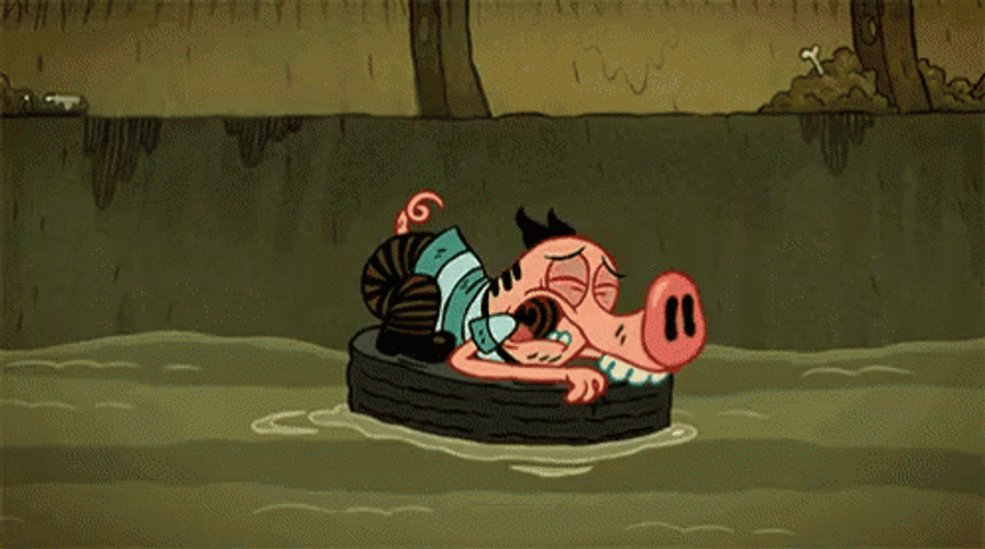 Squeal Like A Pig GIFs