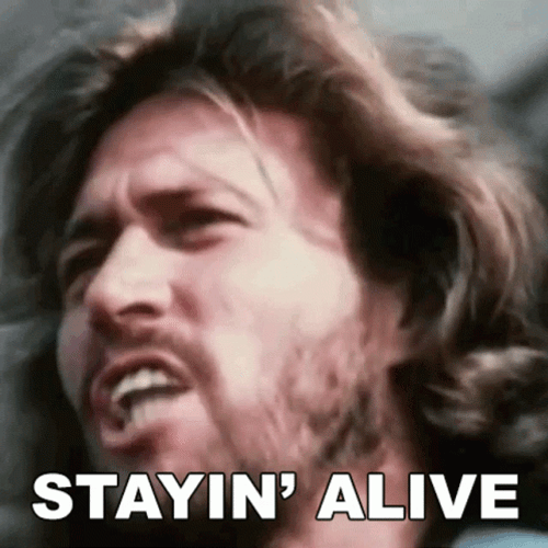 Stayin Alive GIFs