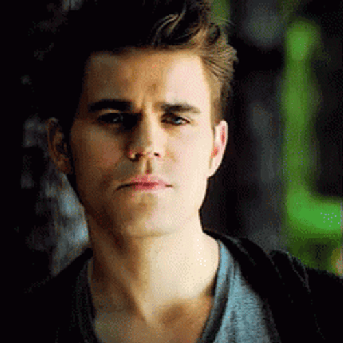 Stefan Salvatore GIFs
