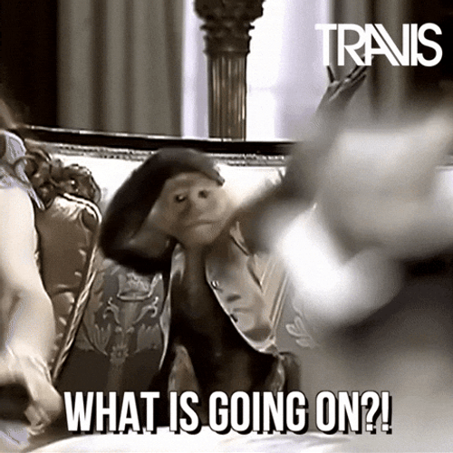 Surprised Meme GIFs