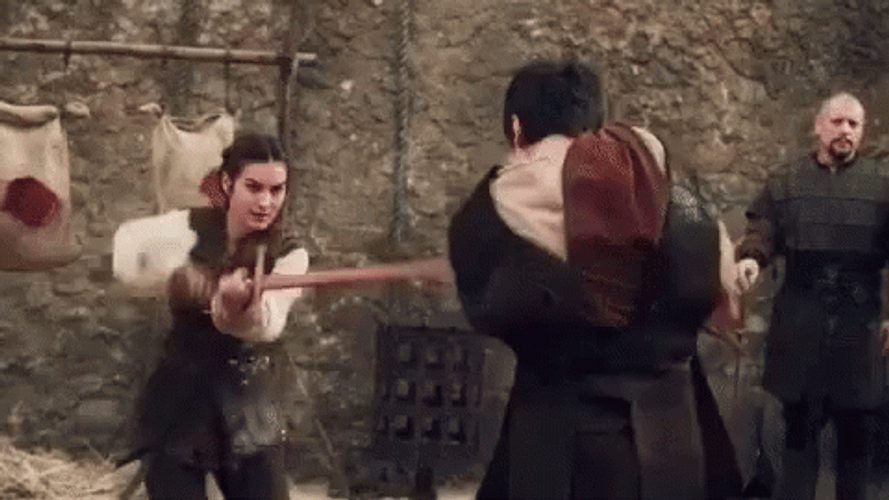 Sword Fight GIFs