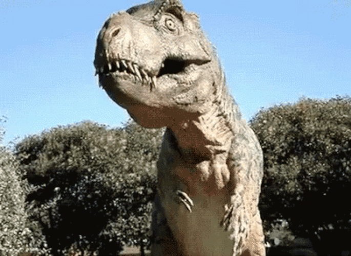 T-Rex GIFs