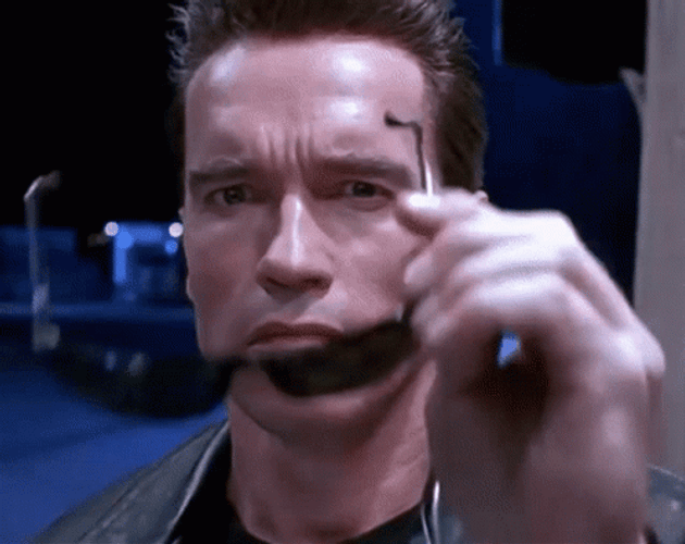 Terminator GIFs