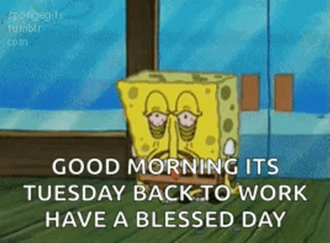 Tired Tuesday GIFs