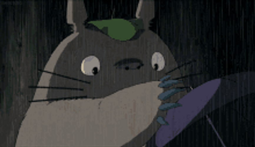 Totoro GIFs