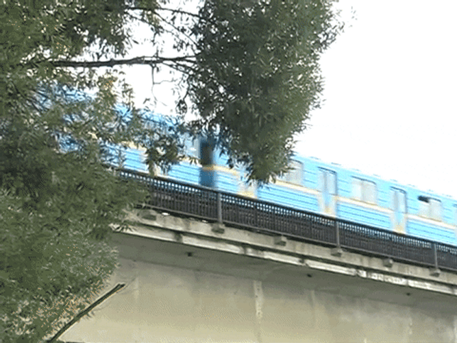 Train GIFs