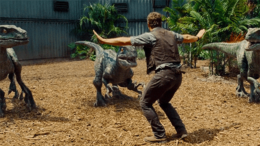 Velociraptor GIFs