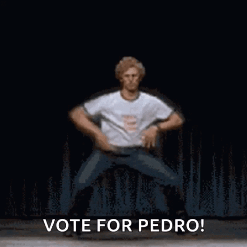 Vote For Pedro GIFs