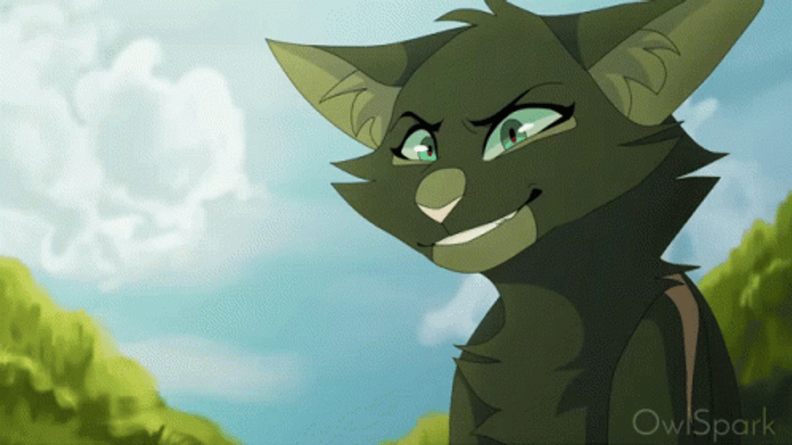 Warrior Cats GIFs