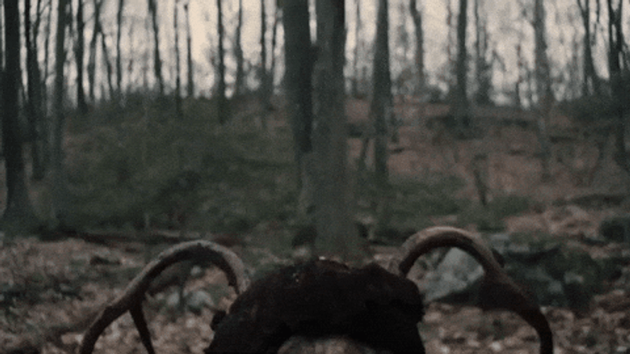 Wendigo GIFs