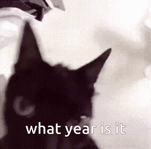 What Year Is It GIFs
