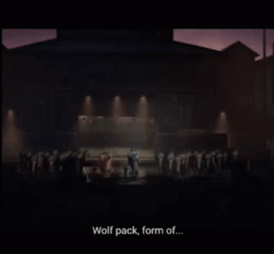 Wolf Pack GIFs